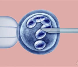 八年心血！喜得贝贝助孕服务火速上线格鲁吉亚和吉尔吉斯坦！